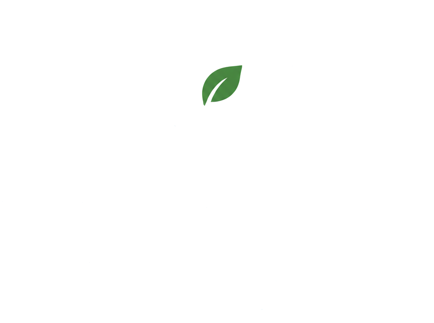 PIEZZA Pizzería